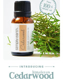 Cedarwood Essential Oil (Himalayan)